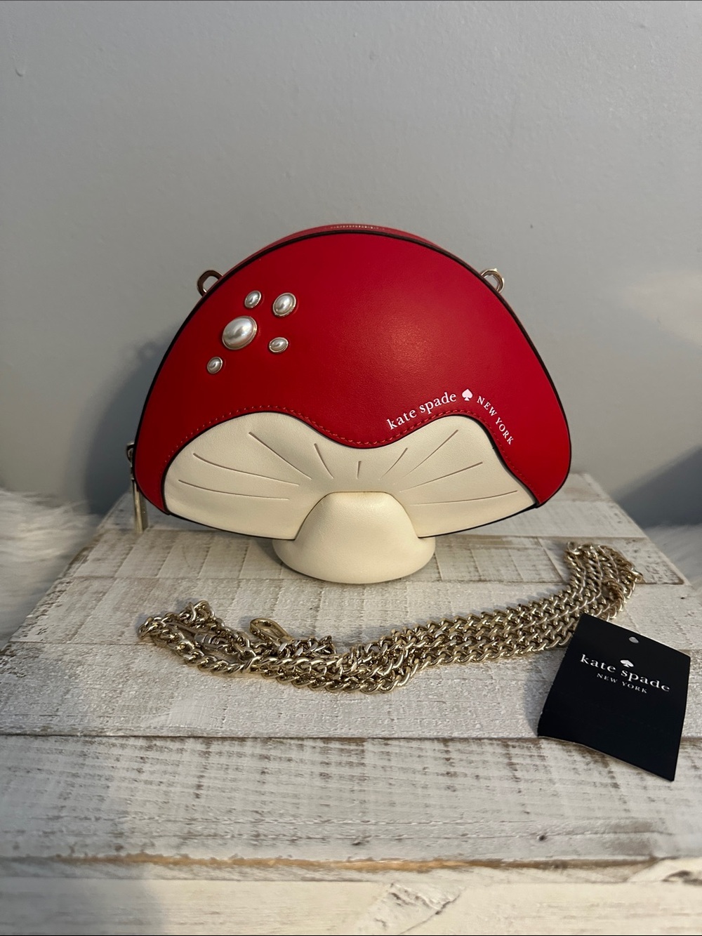 Nwt Kate spade take a hike mushroom crossbody bag